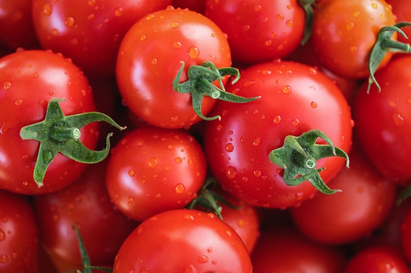La Tomatina Festival