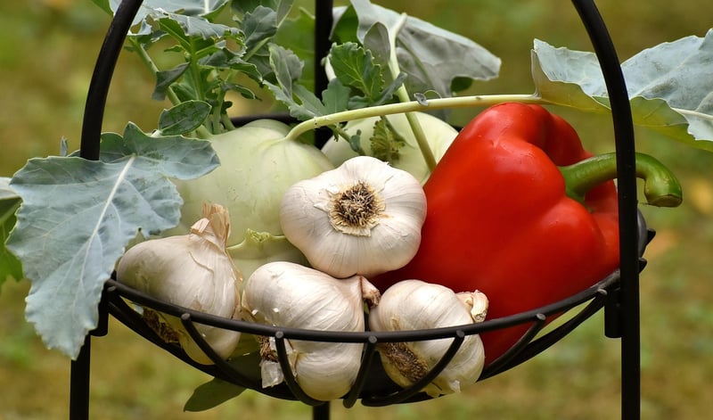 Organic Produce